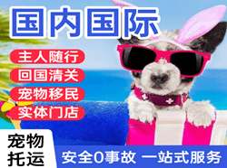 霍林河机场托运国际宠物托运 【国